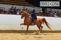 09r2-0256 proof