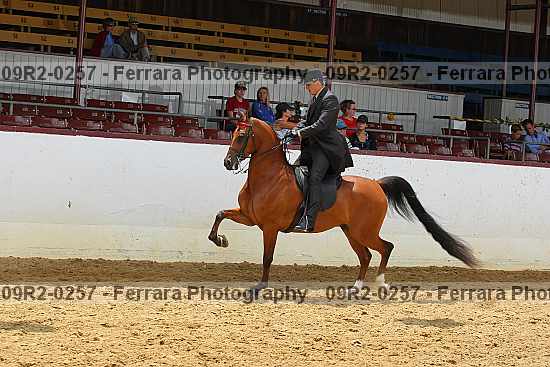 Proof 09r2-0257