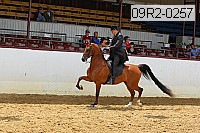 09r2-0257 proof