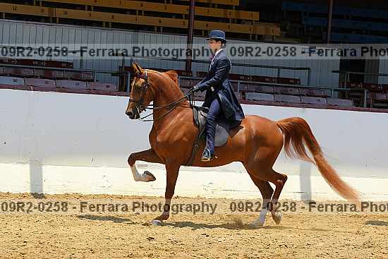 Proof 09r2-0258