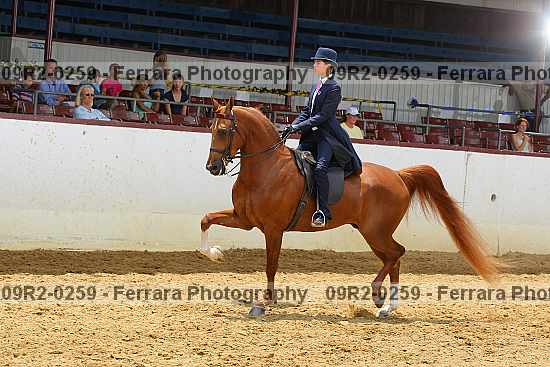 Proof 09r2-0259