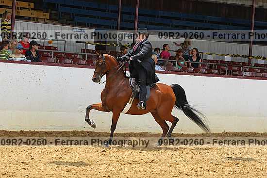 Proof 09r2-0260