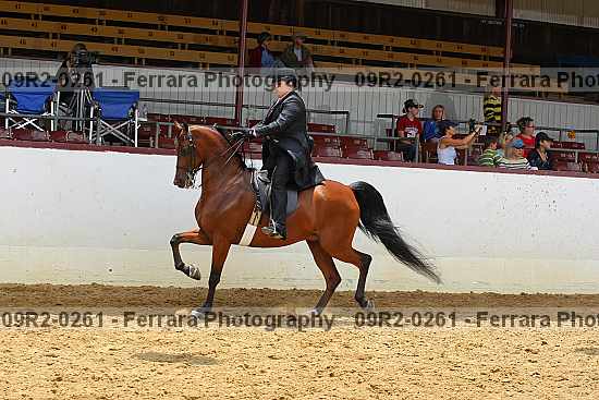 Proof 09r2-0261