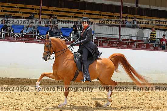 Proof 09r2-0262