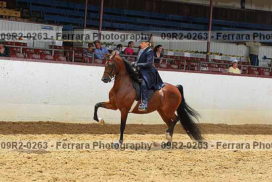 Proof 09r2-0263