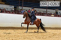 09r2-0263 proof