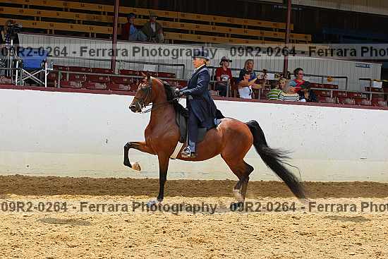 Proof 09r2-0264