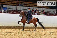09r2-0264 proof