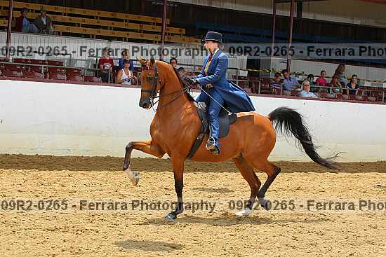 Proof 09r2-0265