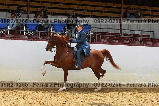 Proof 09r2-0266