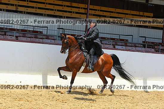Proof 09r2-0267