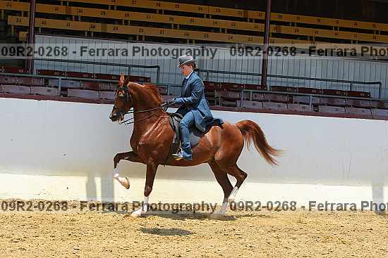Proof 09r2-0268