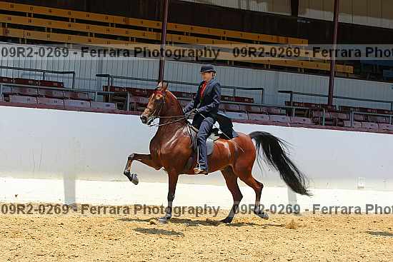 Proof 09r2-0269