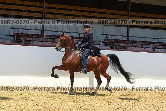 Proof 09r2-0270