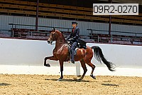 09r2-0270 proof