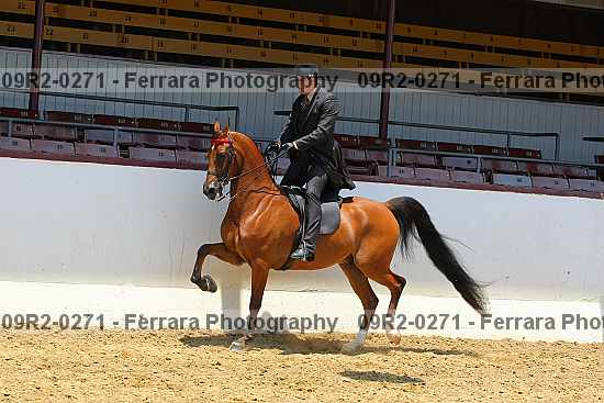 Proof 09r2-0271