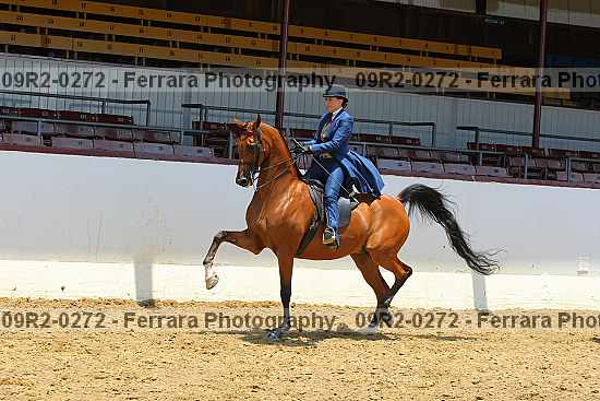 Proof 09r2-0272
