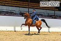 09r2-0272 proof