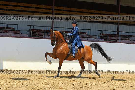 Proof 09r2-0273