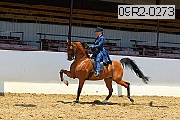 09r2-0273 proof