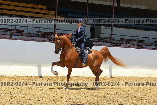 Proof 09r2-0274