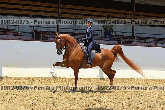 Proof 09r2-0275