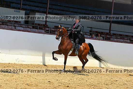 Proof 09r2-0276