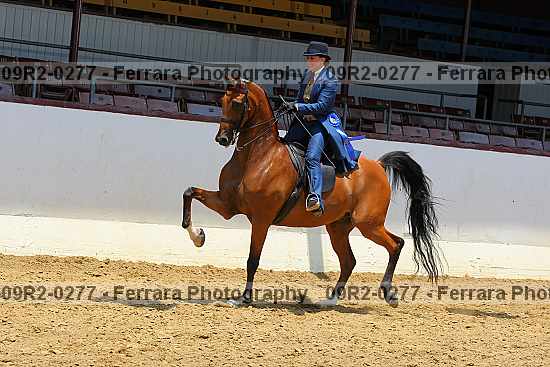 Proof 09r2-0277