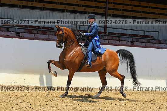 Proof 09r2-0278
