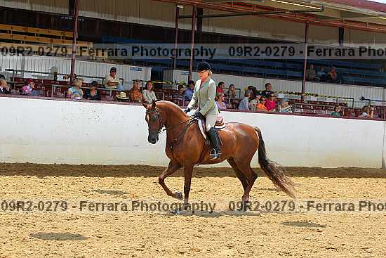 Proof 09r2-0279