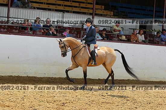 Proof 09r2-0281