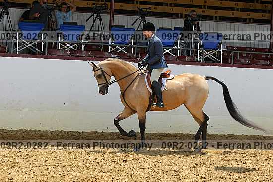 Proof 09r2-0282