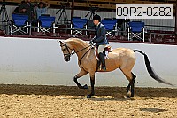 09r2-0282 proof