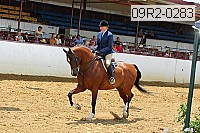 09r2-0283 proof
