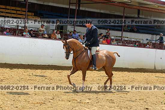 Proof 09r2-0284