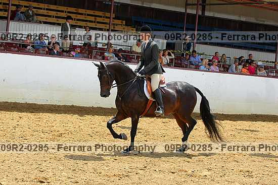 Proof 09r2-0285