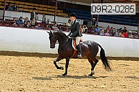 09r2-0285 proof