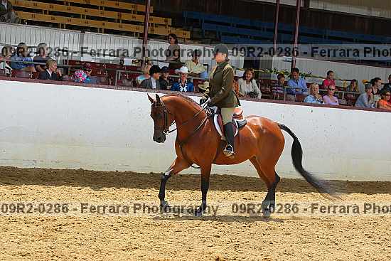 Proof 09r2-0286
