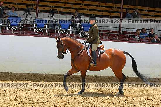 Proof 09r2-0287