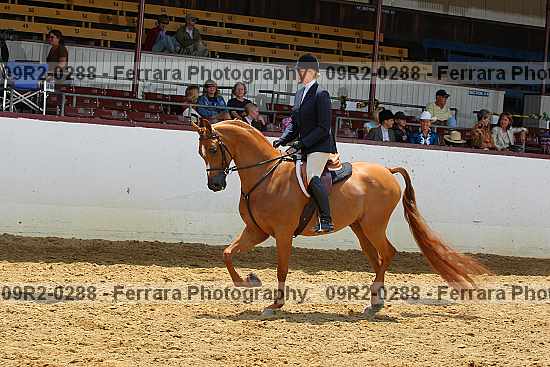 Proof 09r2-0288