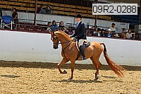 09r2-0288 proof
