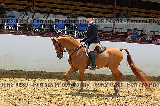 Proof 09r2-0289