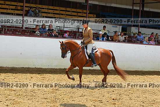 Proof 09r2-0290