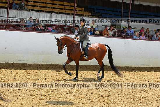 Proof 09r2-0291