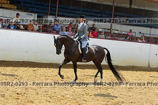 Proof 09r2-0293