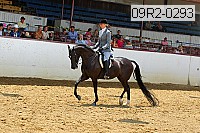 09r2-0293 proof