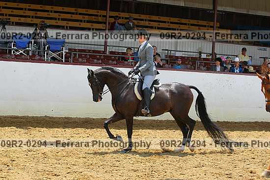 Proof 09r2-0294