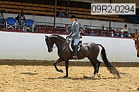 09r2-0294 proof