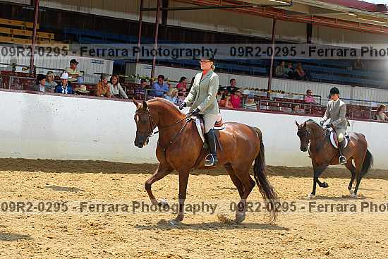 Proof 09r2-0295