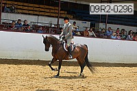 09r2-0296 proof